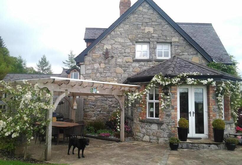 Bed and Breakfast Drumhierney Lodge