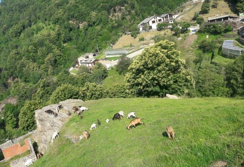 ホテル Agriturismo Fiorendo