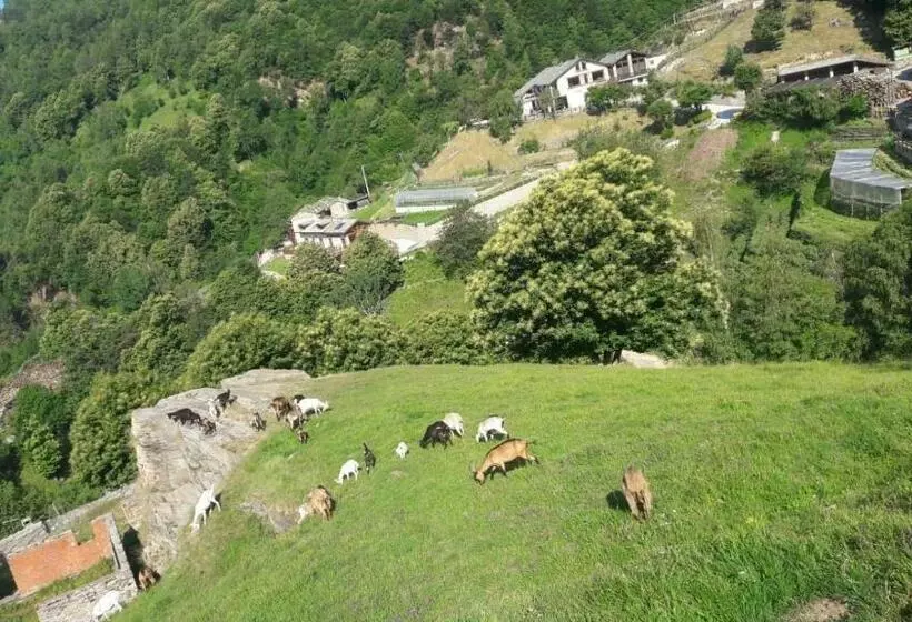 ホテル Agriturismo Fiorendo