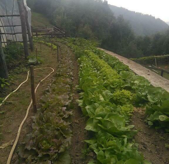 ホテル Agriturismo Fiorendo