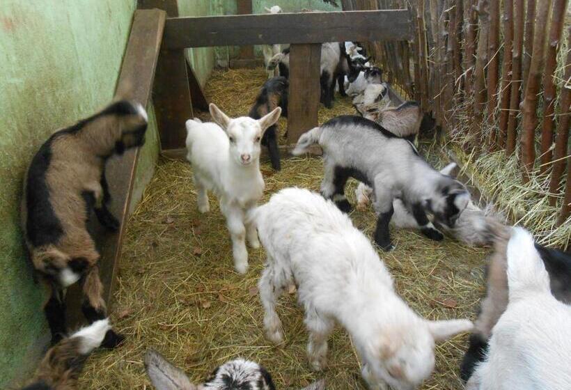 ホテル Agriturismo Fiorendo