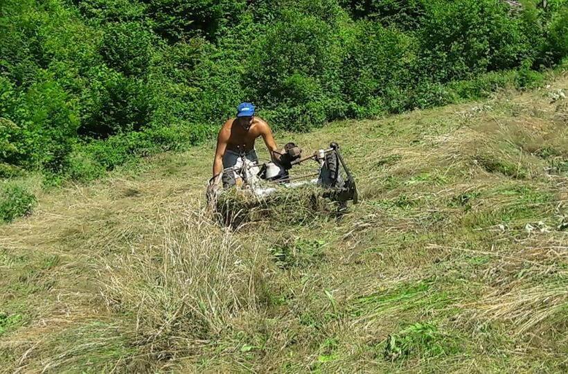 ホテル Agriturismo Fiorendo