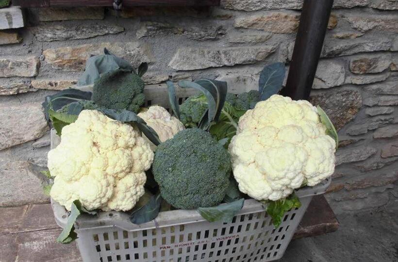 ホテル Agriturismo Fiorendo