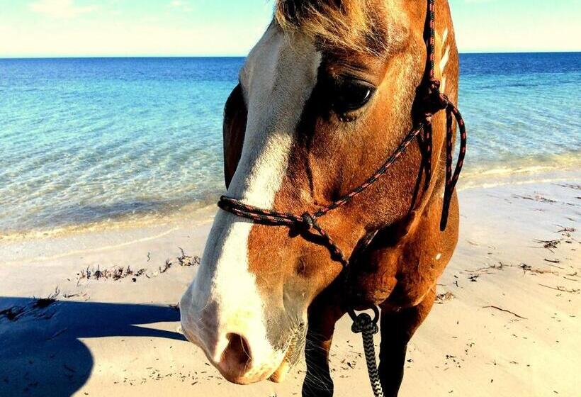 Lure Bed And Breakfast