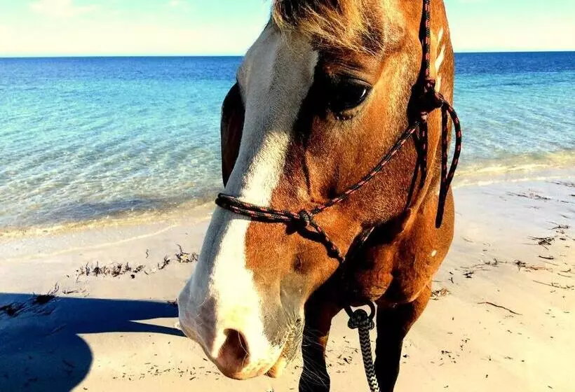 Lure Bed And Breakfast