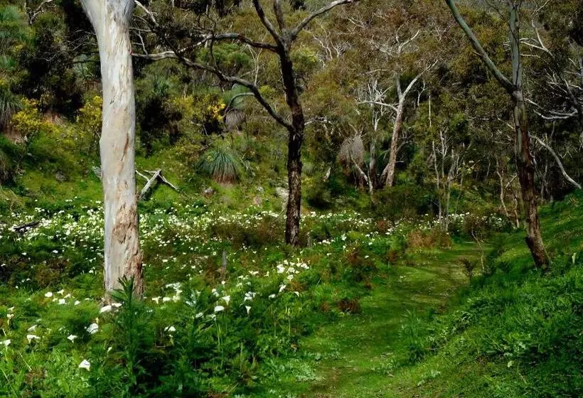 Lure Bed And Breakfast