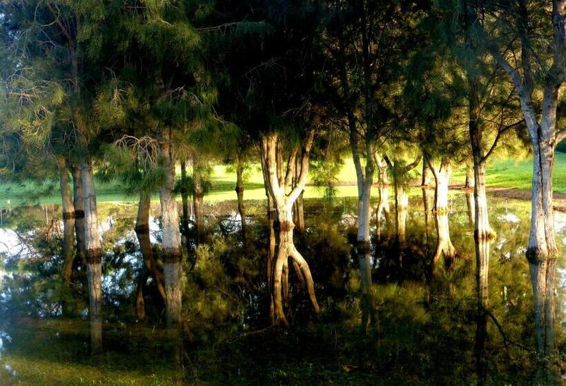 Lure Bed And Breakfast