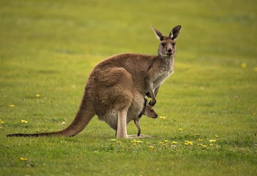 Lure Bed And Breakfast