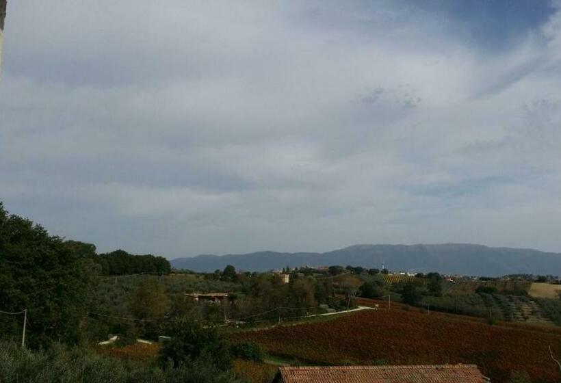 Pansiyon Monolocale Lori