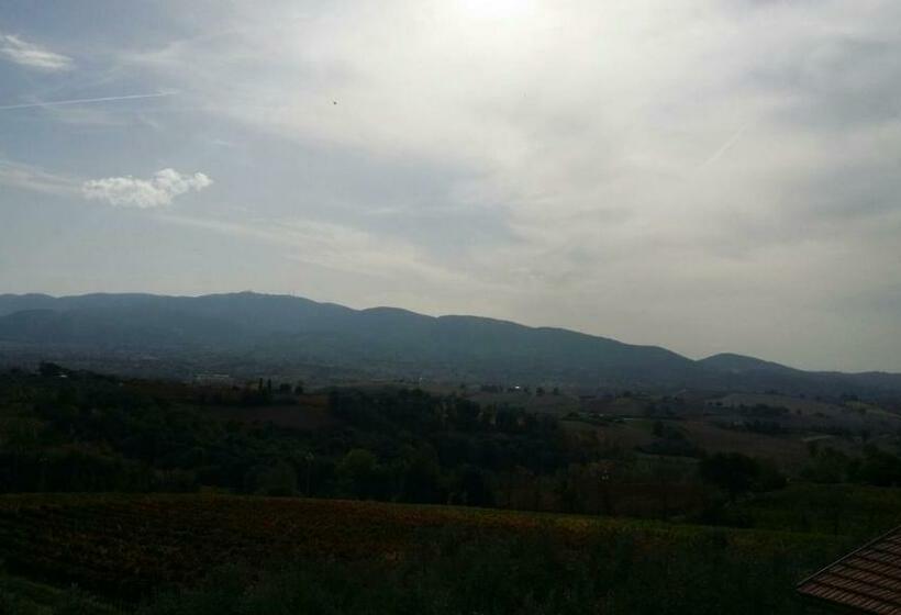 Pansiyon Monolocale Lori