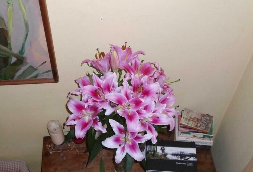 مبيت وإفطار Ballynona House