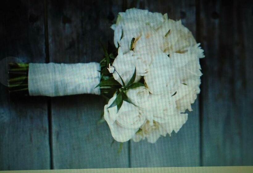 مبيت وإفطار Ballynona House