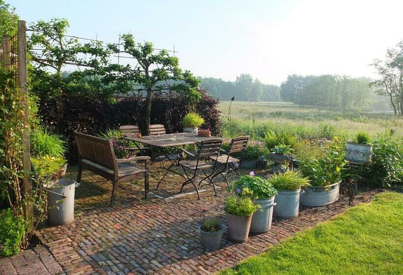 Bed and Breakfast De Wiede Blik