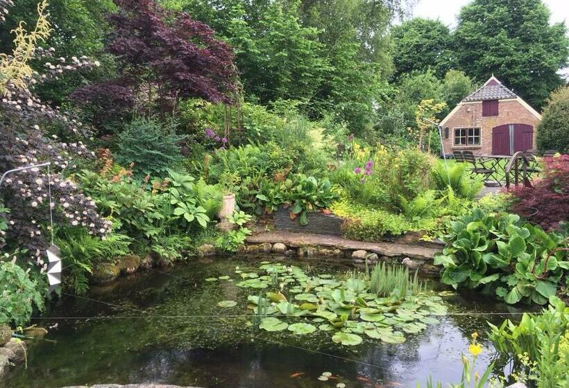 Bed and Breakfast De Wiede Blik