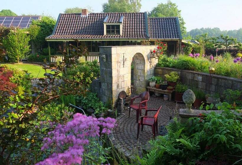 Bed and Breakfast De Wiede Blik