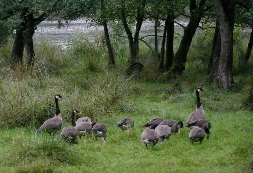 Bed and Breakfast De Wiede Blik