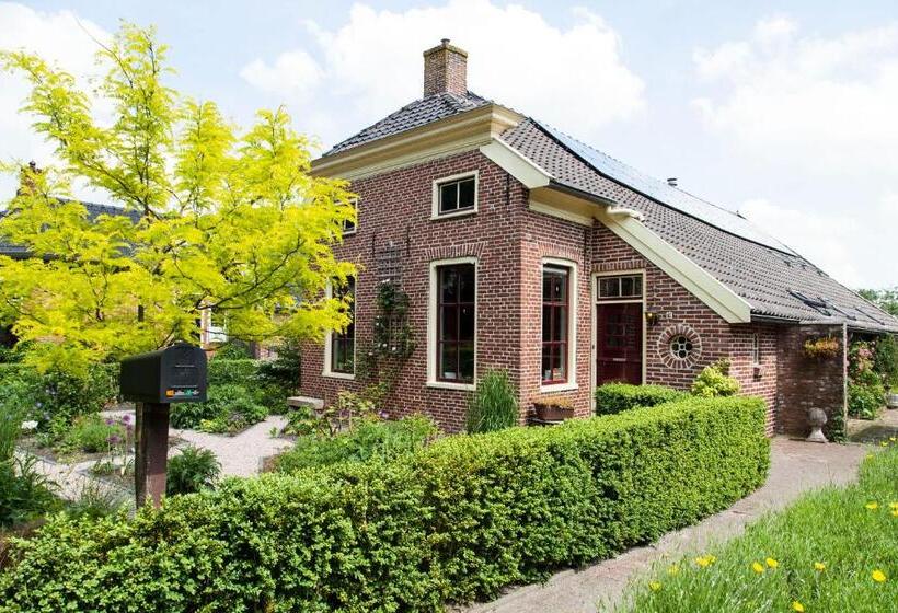 Bed and Breakfast De Wiede Blik