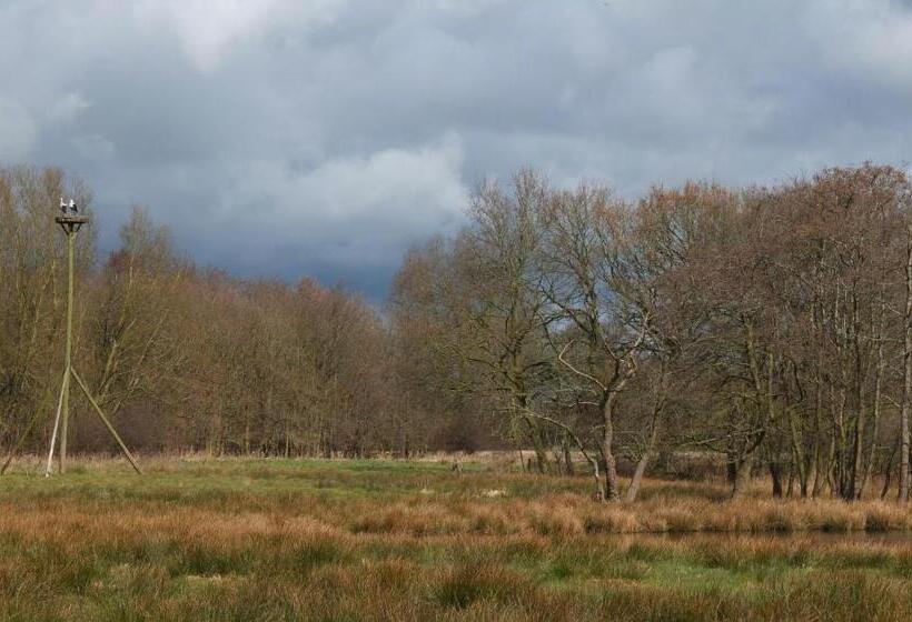 Bed and Breakfast De Wiede Blik