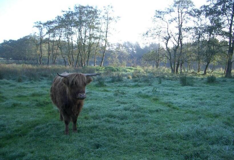 Bed and Breakfast De Wiede Blik