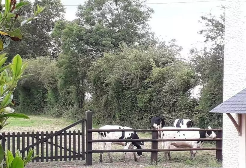 ベッドアンドブレックファースト Ferme Du Rupalley