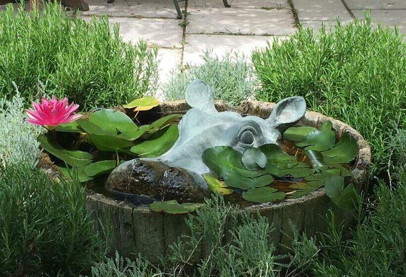 ベッドアンドブレックファースト Villa De Miha