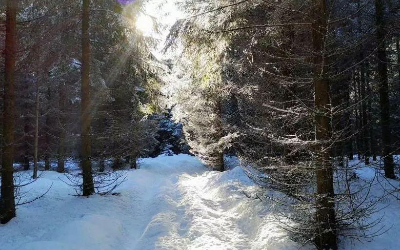 Comfort Hotel Garni Schierker Waldperle   Inklusive Wellness