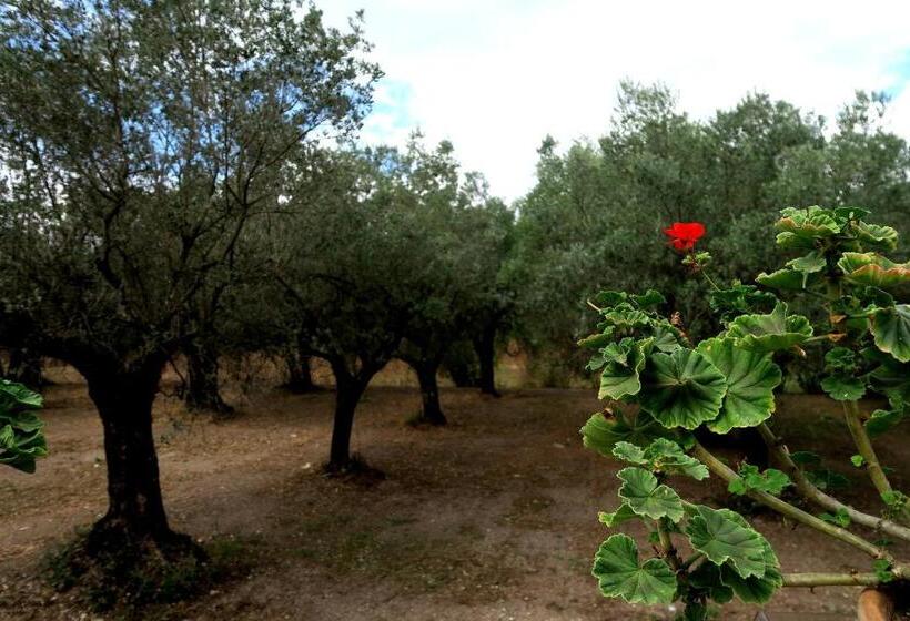 ペンション La Tortora