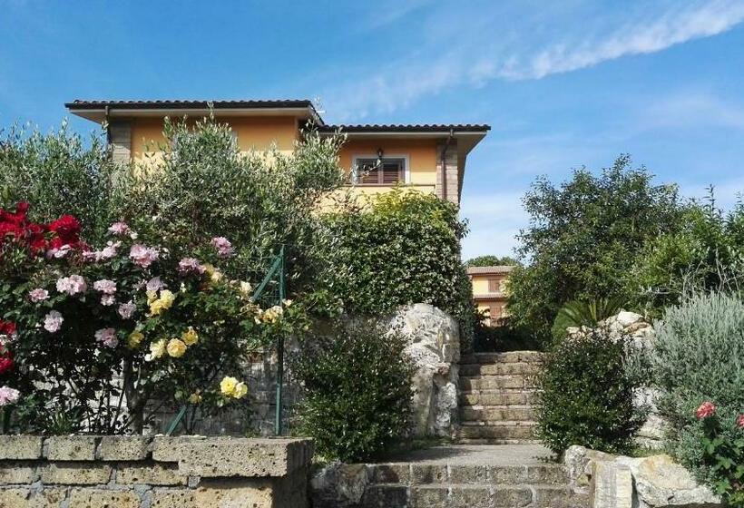 B&b Casa Del Pellegrino