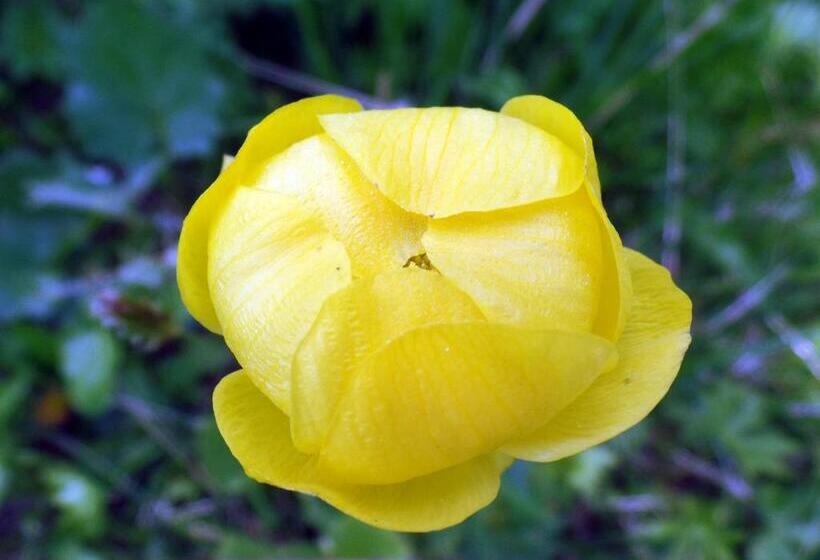 B&b Le Temps D Une Pause