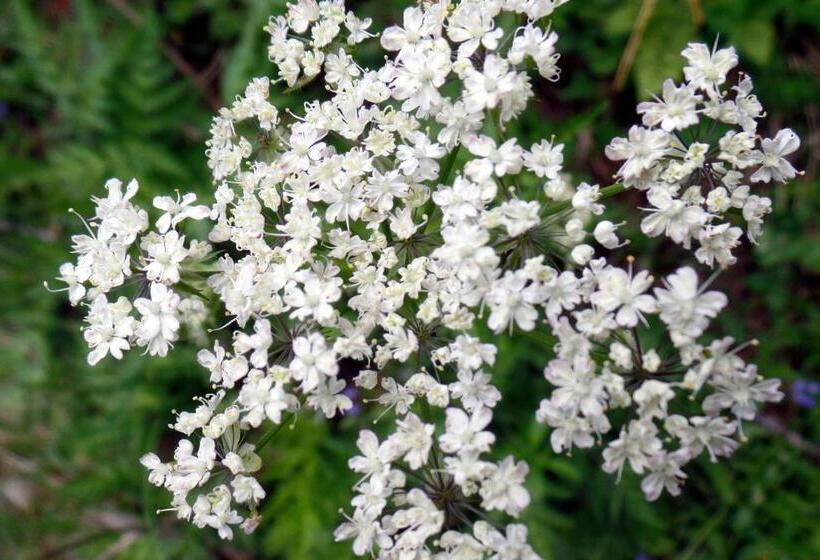 B&b Le Temps D Une Pause