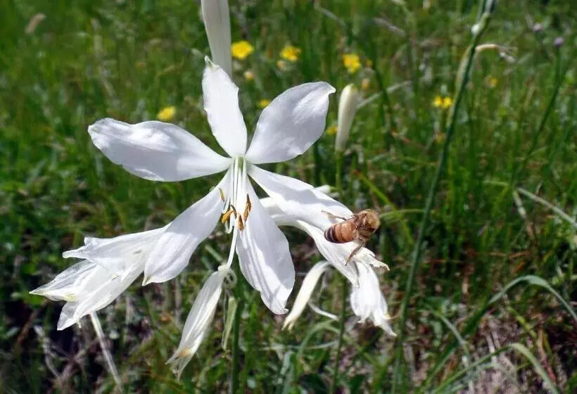 B&b Le Temps D Une Pause