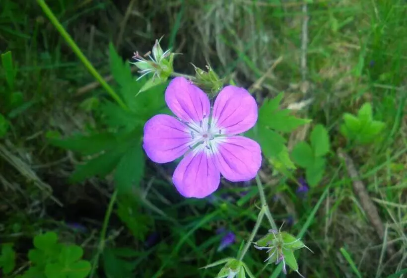 B&b Le Temps D Une Pause