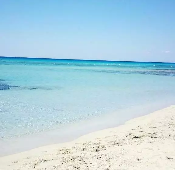B&b Nausicaa