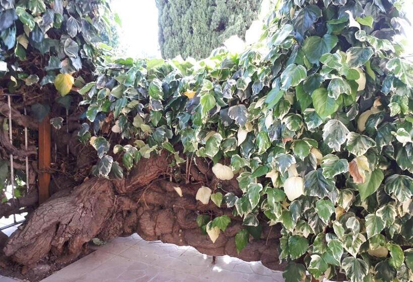 צימר La Mia Resilienza Nei Sassi Di Matera