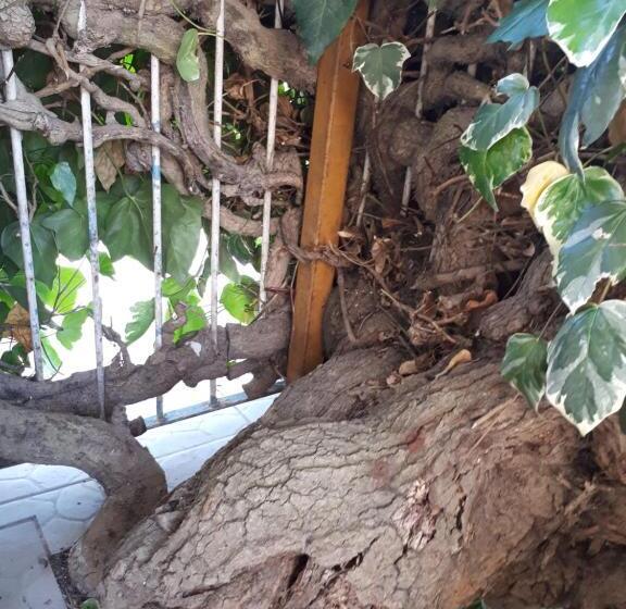 צימר La Mia Resilienza Nei Sassi Di Matera