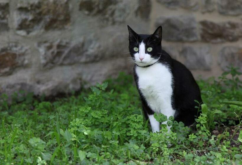 צימר Le Clos Du Théron, Chambre D Hôte