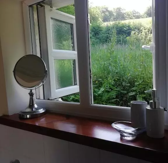 Bed and Breakfast Records Place
