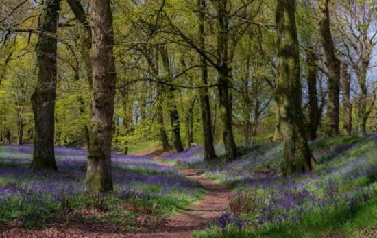 住宿加早餐  Records Place