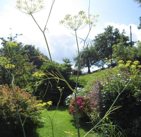 住宿加早餐  Records Place