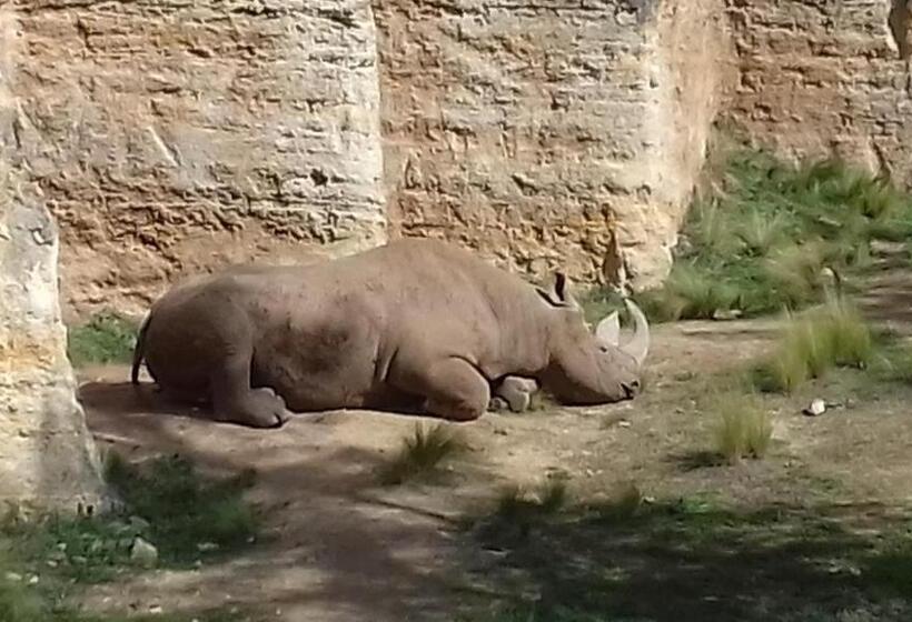 住宿加早餐 Saumur Loire Chambres Et Gîte