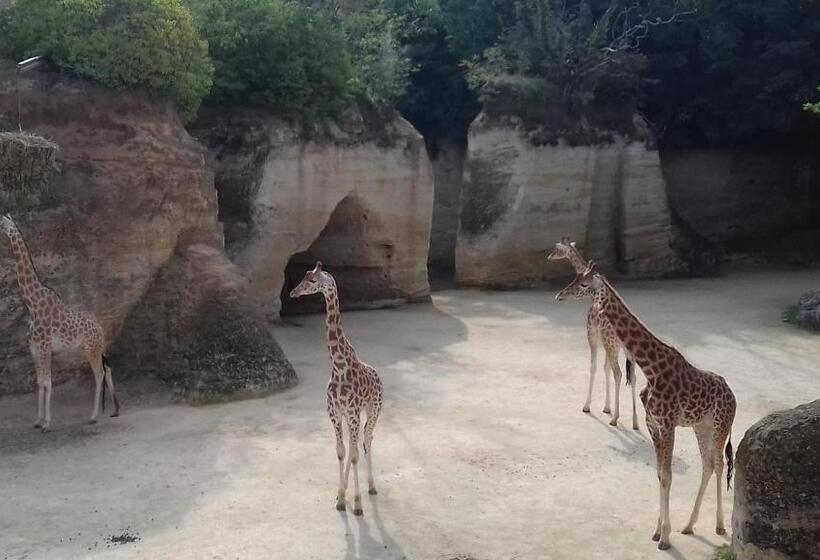 住宿加早餐 Saumur Loire Chambres Et Gîte