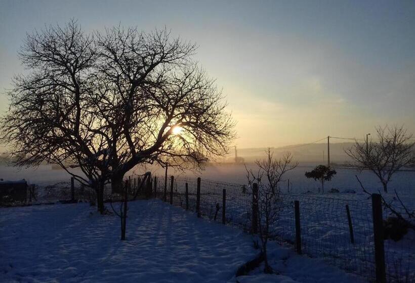 住宿加早餐 Saumur Loire Chambres Et Gîte