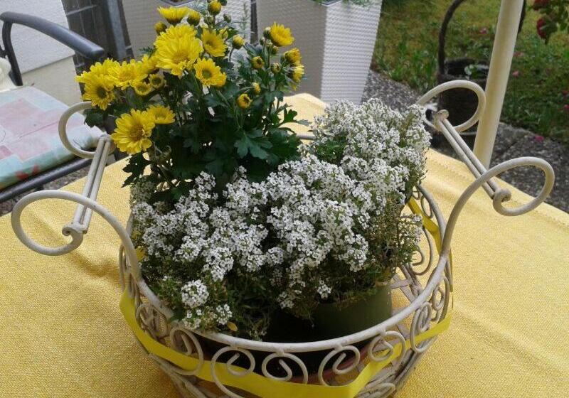 Caruso Pension Und Pizzeria