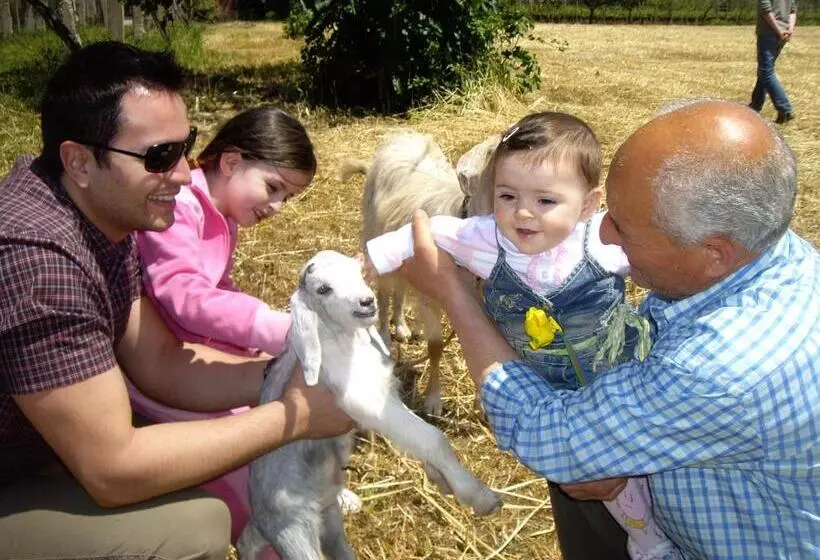 ホテル Agriturismo Frantoio Mafrica