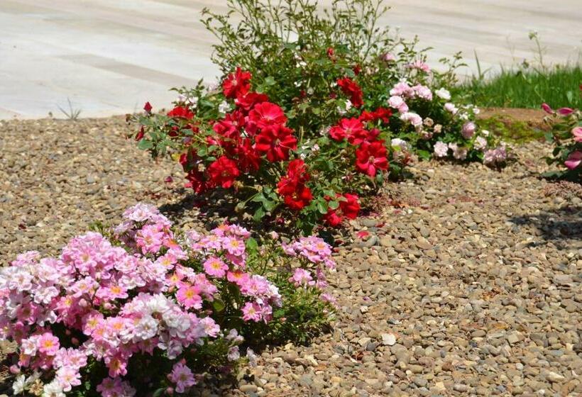 I Muretti A Secco B&b