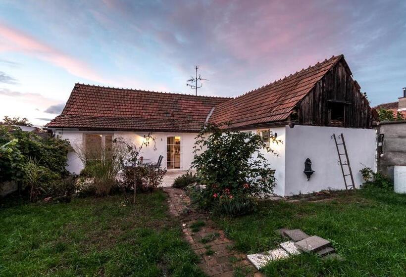 بنسيون Chalupka