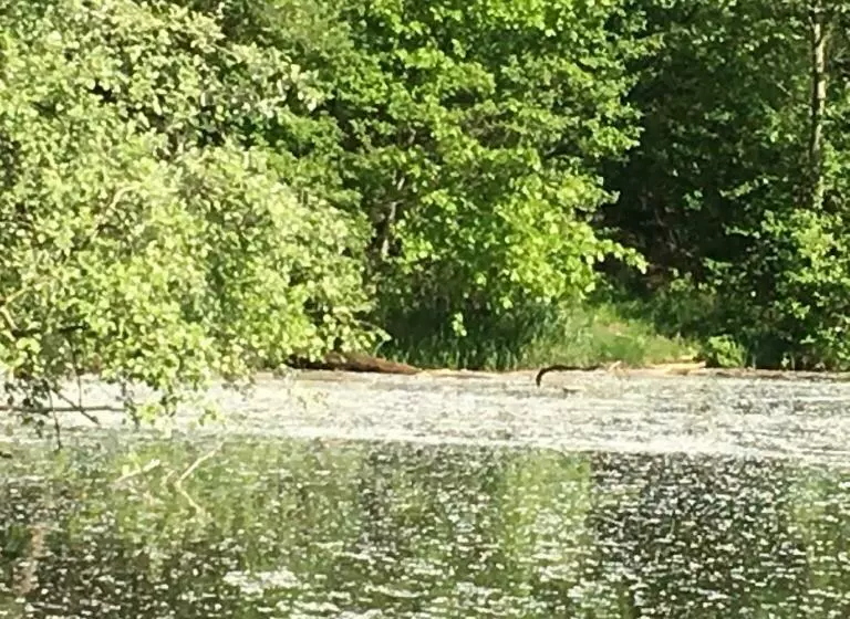 Majatalo Cottagenumber9