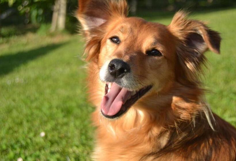 Пансион Julias Guesthouse