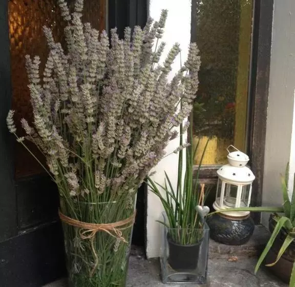 Majatalo Julias Guesthouse