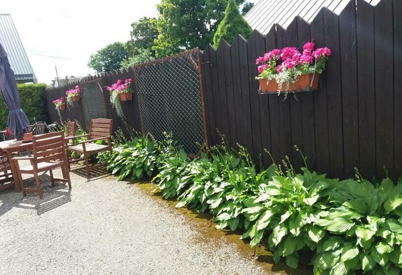 هاستل Sunrise Majutus